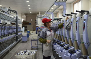 达州市统计局努力推动统计工作再上新台阶