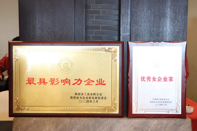 西安高新医院荣获“最具影响力企业” 院长宋瑛获评“优秀女企业家”称号